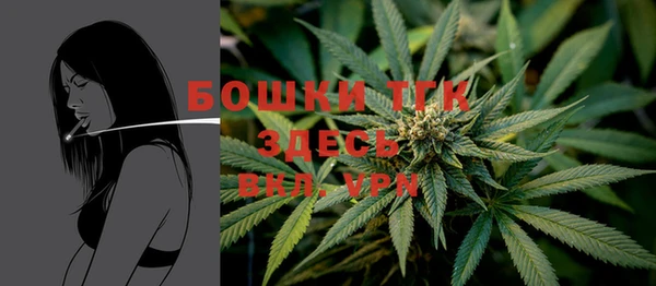 прущая мука Новодвинск