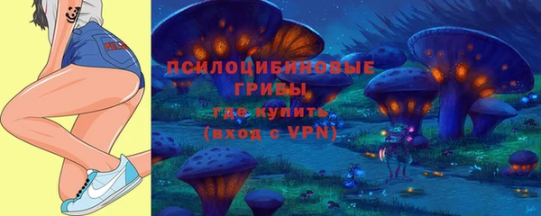 дживик Алзамай